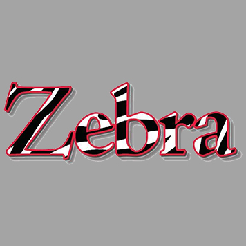 Zebra Press Release Article